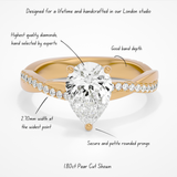 Daisy Pear Lab | Rose