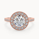 Ivy Round Lab | Rose