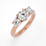 Roma Round Lab | Rose