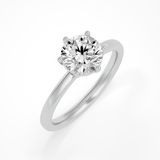 Leso Round 6 prong Lab