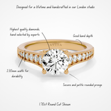 Trinity Round Lab | Yellow