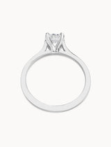 Sanaz - Avita Jewellery