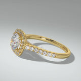 Talina Lab | Yellow
