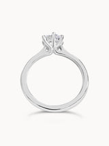Sofia - Avita Jewellery